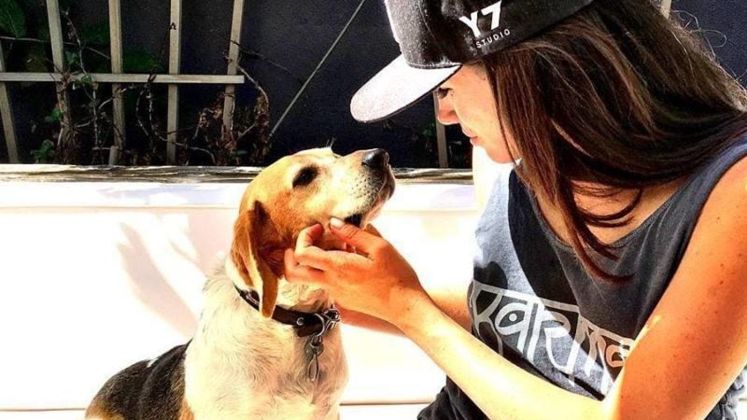 Meghan Markle's Dog Guy Is Getting His Own Children's Book - Grazia